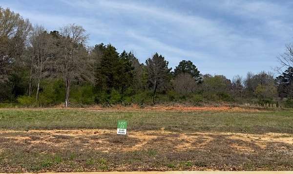 0.43 Acres of Residential Land for Sale in Saltillo, Mississippi