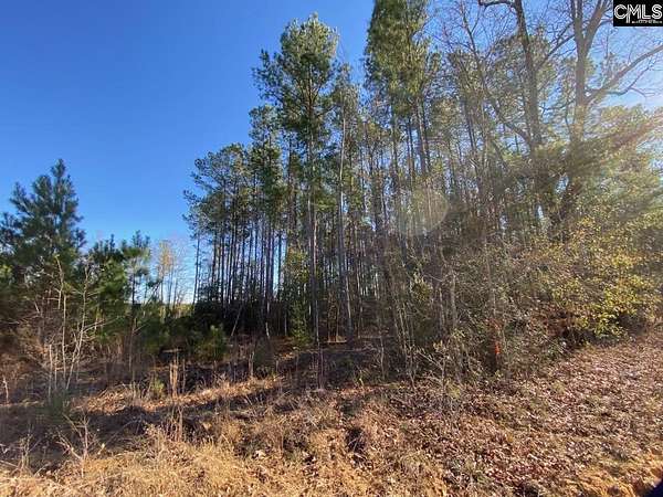 3.75 Acres of Residential Land for Sale in North, South Carolina