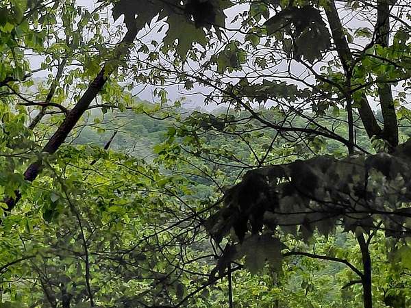 9.63 Acres of Residential Land for Sale in Murphy, North Carolina