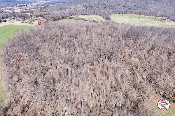 15.2 Acres of Land for Sale in Pall Mall, Tennessee