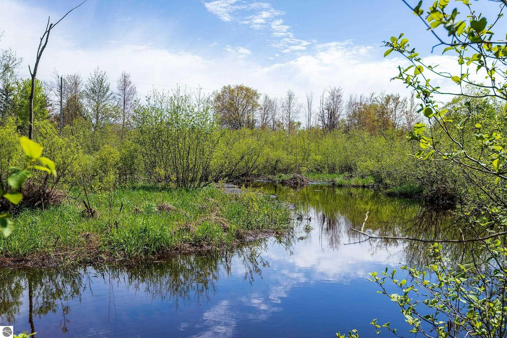 107 Acres of Recreational & Residential Land for Sale in Kaleva, Michigan