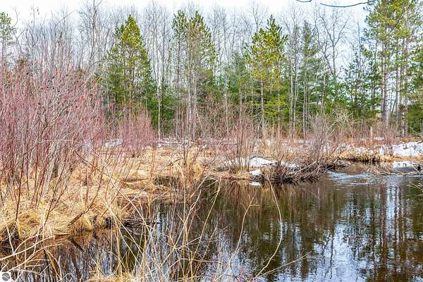 107 Acres of Recreational & Residential Land for Sale in Kaleva, Michigan