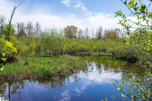 107 Acres of Recreational & Residential Land for Sale in Kaleva, Michigan