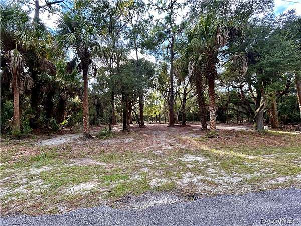 1.17 Acres of Residential Land for Sale in Crystal River, Florida