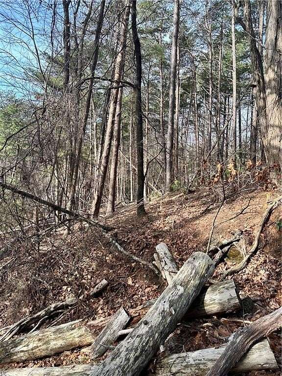 0.97 Acres of Residential Land for Sale in Jasper, Georgia