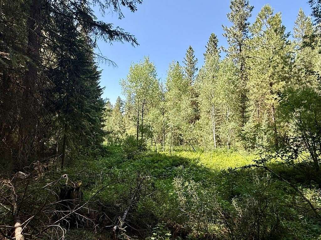 0.85 Acres of Land for Sale in Cascade, Idaho