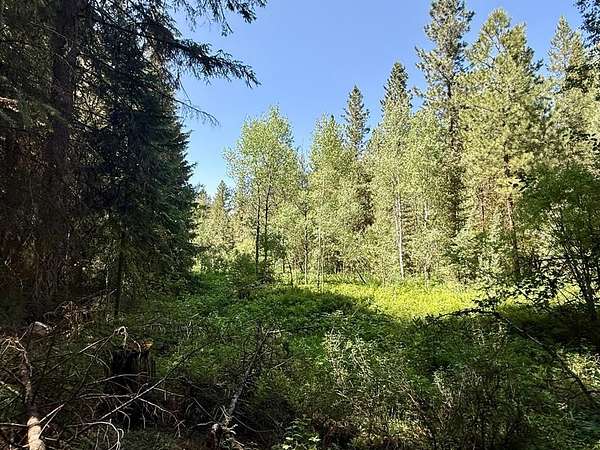 0.85 Acres of Land for Sale in Cascade, Idaho