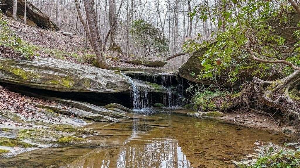 204 Acres of Recreational & Residential Land for Sale in Buchanan, Georgia