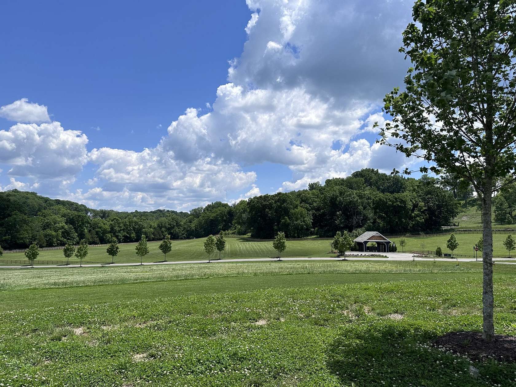 0.36 Acres of Residential Land for Sale in College Grove, Tennessee