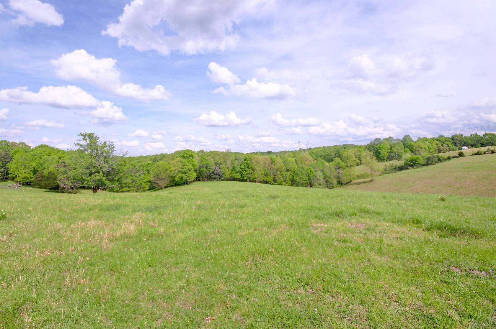 57.8 Acres of Land for Sale in Palmyra, Tennessee