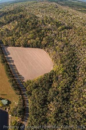 18 Acres of Land for Sale in Autryville, North Carolina