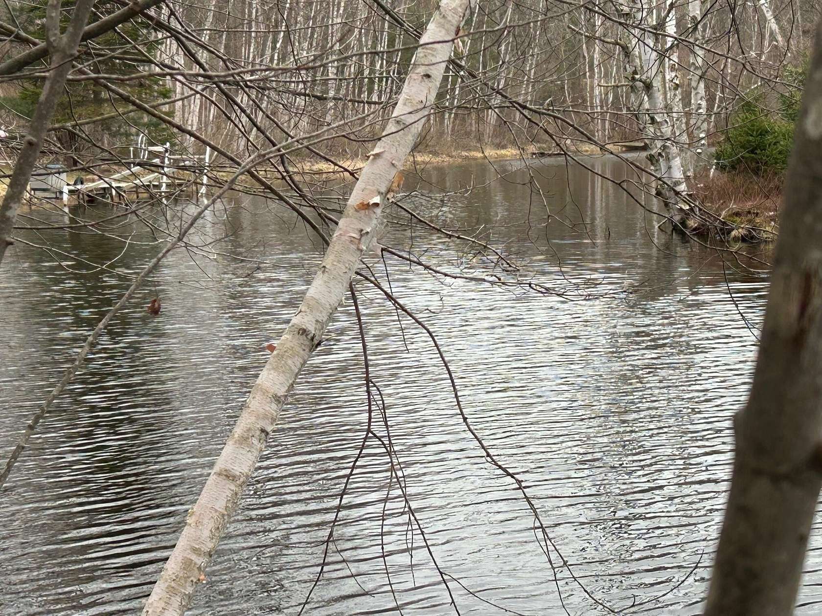 0.56 Acres of Land for Sale in Canadian Lakes, Michigan