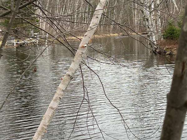 0.56 Acres of Land for Sale in Canadian Lakes, Michigan