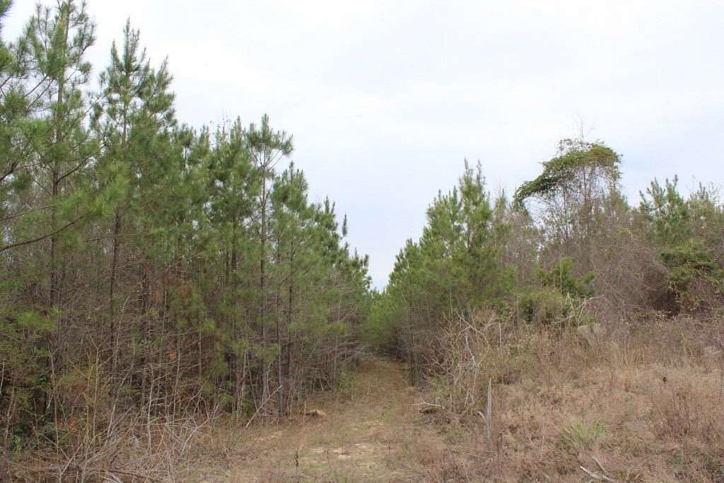 95 Acres of Land for Sale in Mauk, Georgia