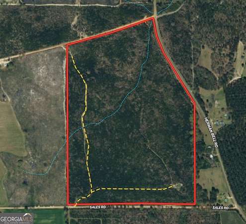 95 Acres of Land for Sale in Mauk, Georgia