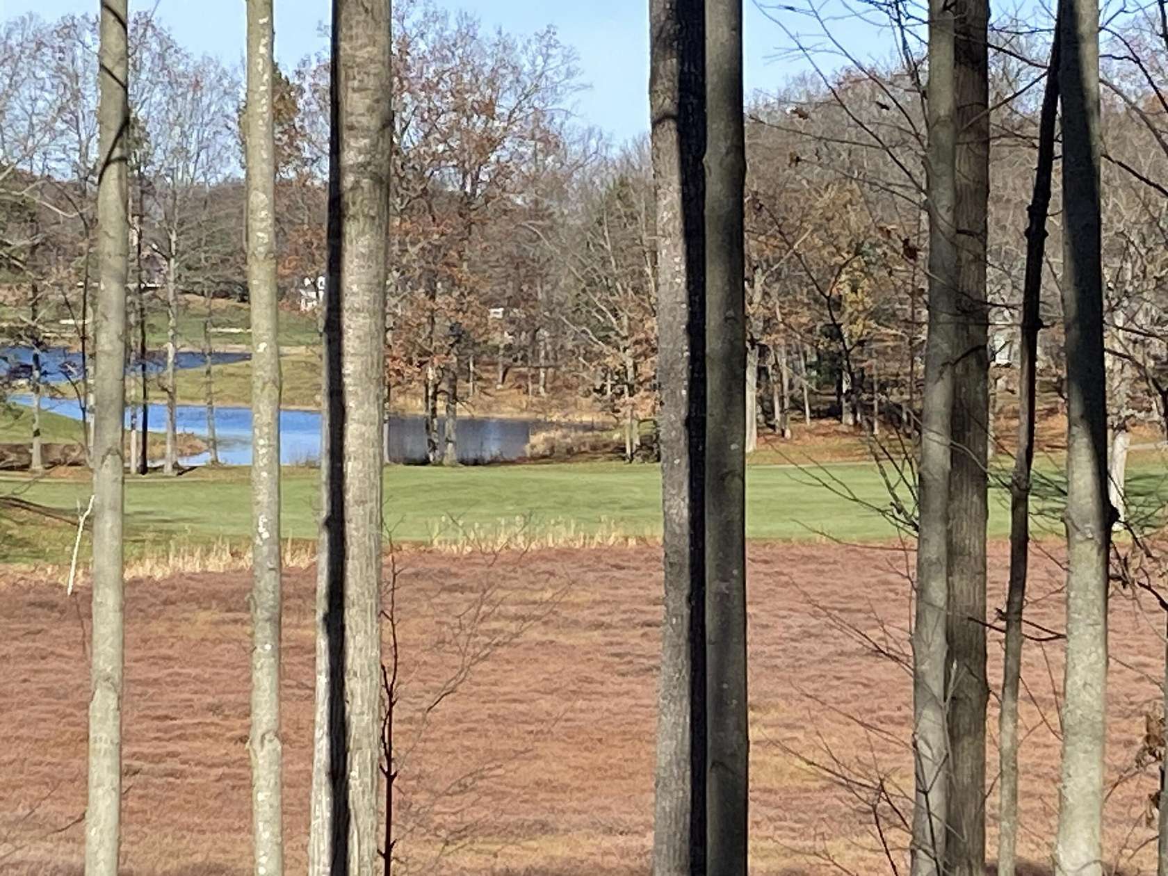 1 Acre of Residential Land for Sale in Canadian Lakes, Michigan