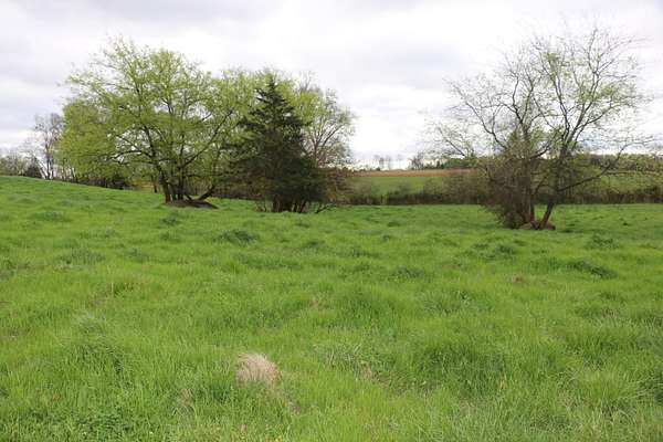 5.5 Acres of Residential Land for Sale in Madisonville, Tennessee