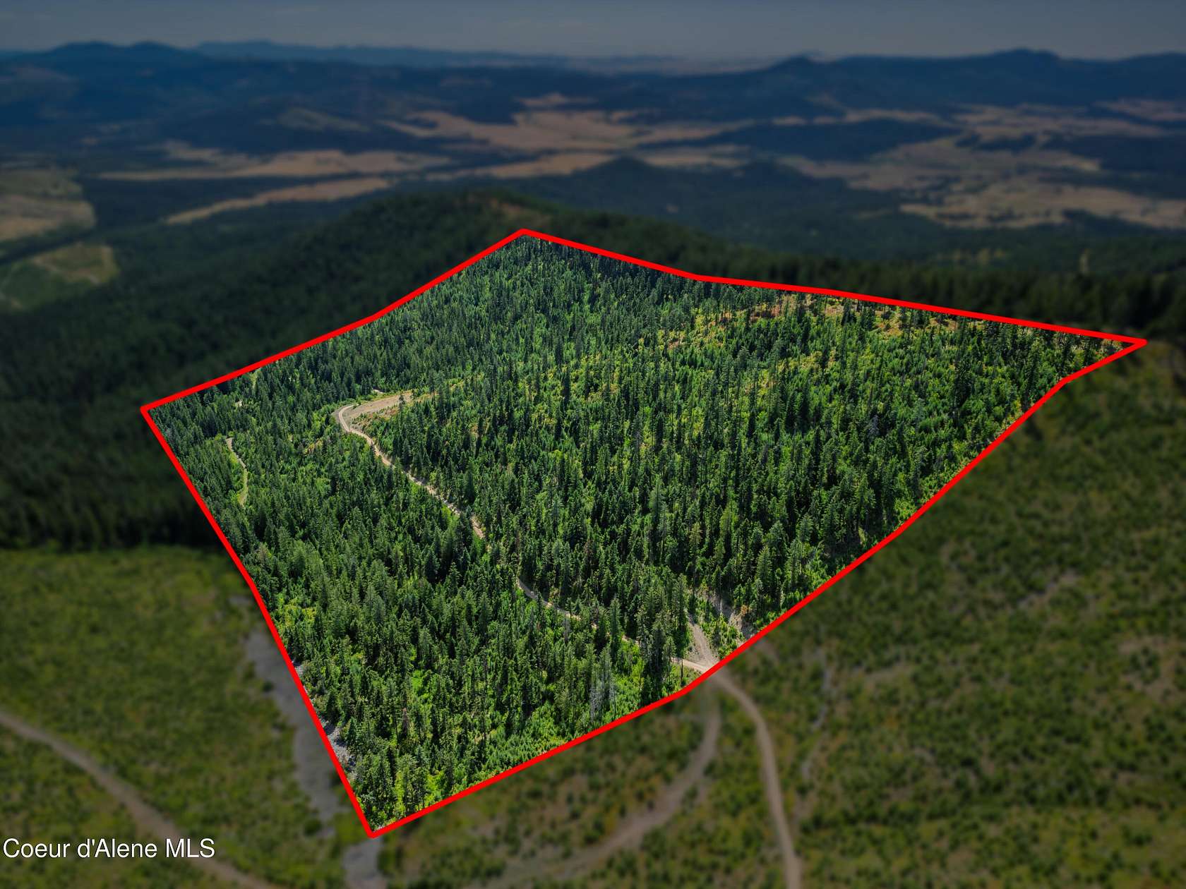78.9 Acres of Recreational Land for Sale in Tensed, Idaho