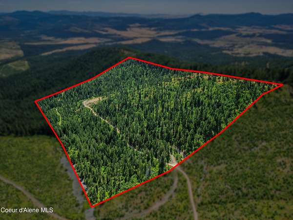 78.9 Acres of Recreational Land for Sale in Tensed, Idaho