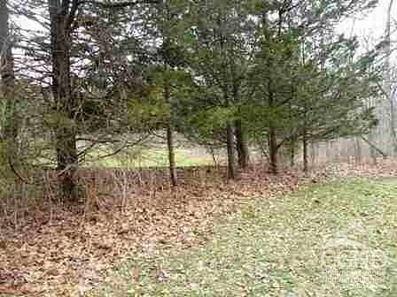 8.59 Acres of Residential Land for Sale in Pine Plains, New York