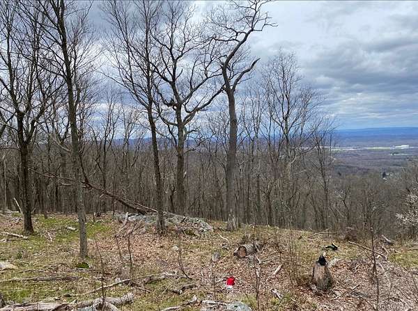 3.9 Acres of Residential Land for Sale in Hopewell Junction, New York