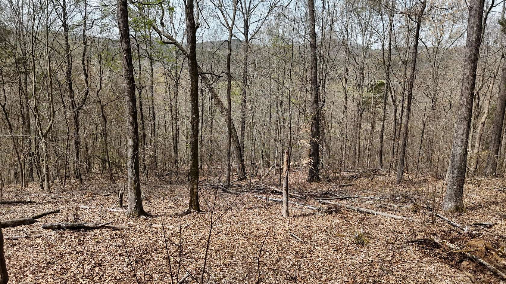 7.5 Acres of Residential Land for Sale in Decatur, Tennessee