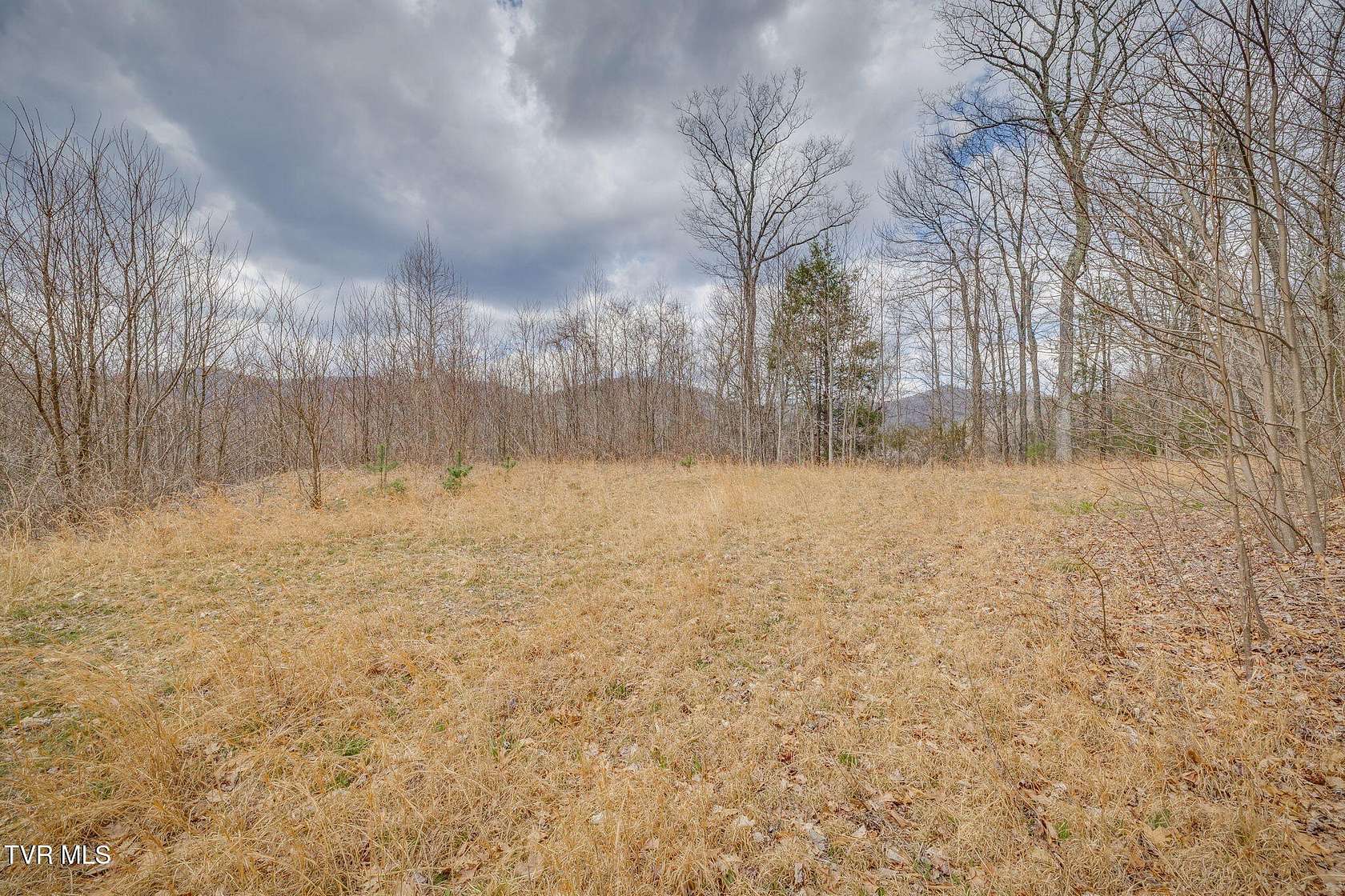 5.29 Acres of Residential Land for Sale in Butler, Tennessee