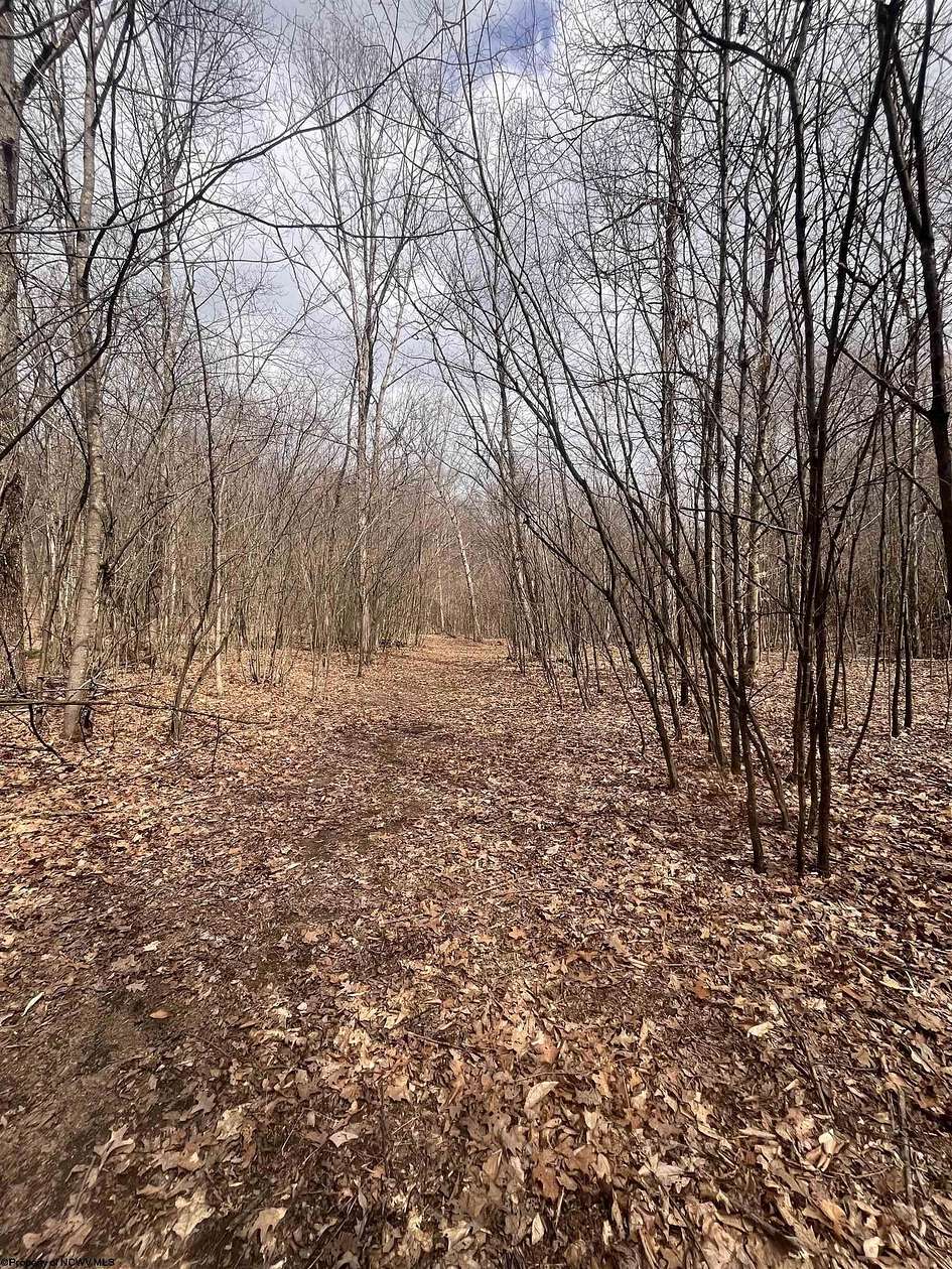 13 Acres of Recreational & Residential Land for Sale in Bruceton Mills, West Virginia