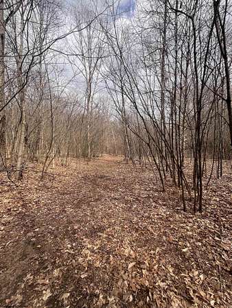 13 Acres of Recreational Land for Sale in Bruceton Mills, West Virginia