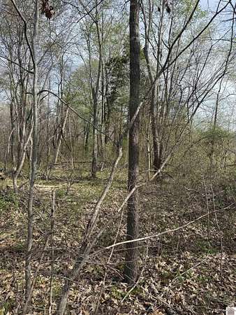 8.64 Acres of Residential Land for Sale in Boaz, Kentucky