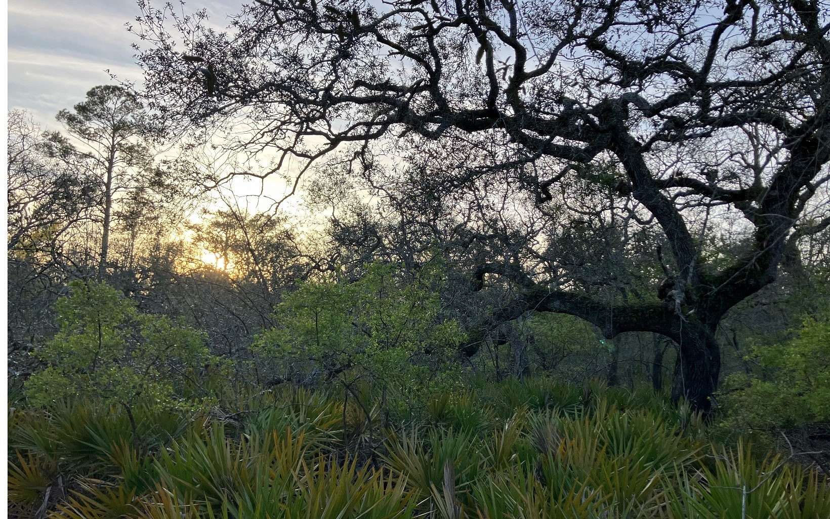 0.46 Acres of Residential Land for Sale in Live Oak, Florida