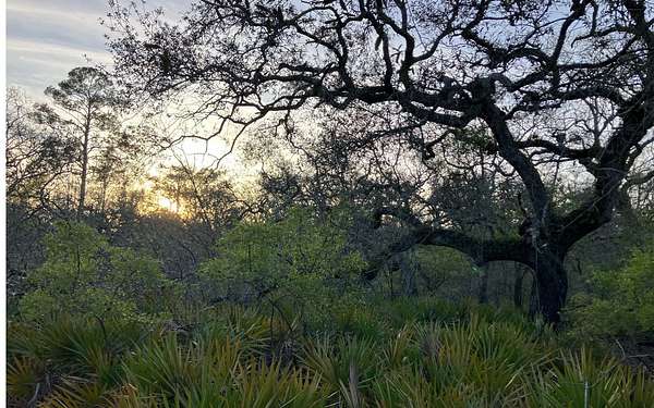 0.46 Acres of Residential Land for Sale in Live Oak, Florida