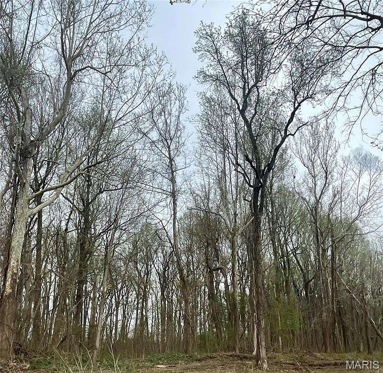 12.5 Acres of Recreational & Residential Land for Sale in Scott City, Missouri