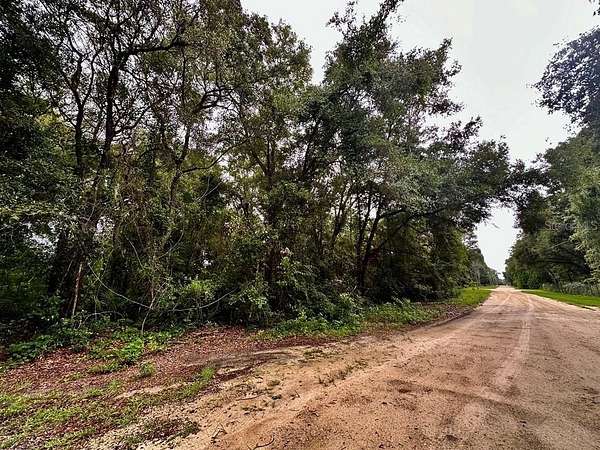 0.46 Acres of Commercial Land for Sale in Chiefland, Florida