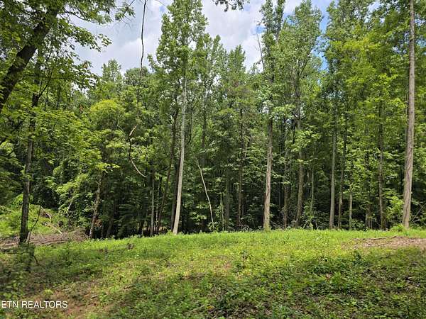 2.5 Acres of Residential Land for Sale in Powell, Tennessee