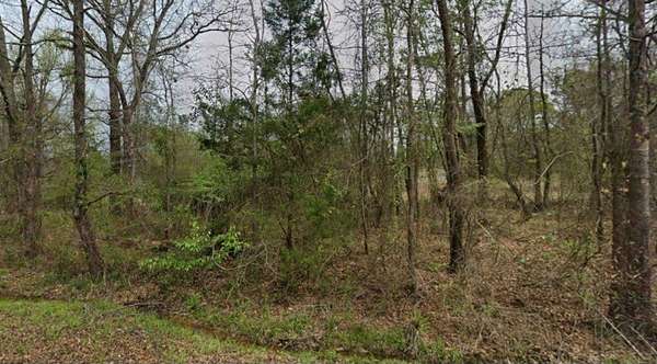 0.18 Acres of Residential Land for Sale in Camden, Arkansas