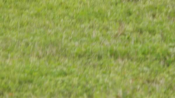 0.15 Acres of Residential Land for Sale in Hensley, Arkansas