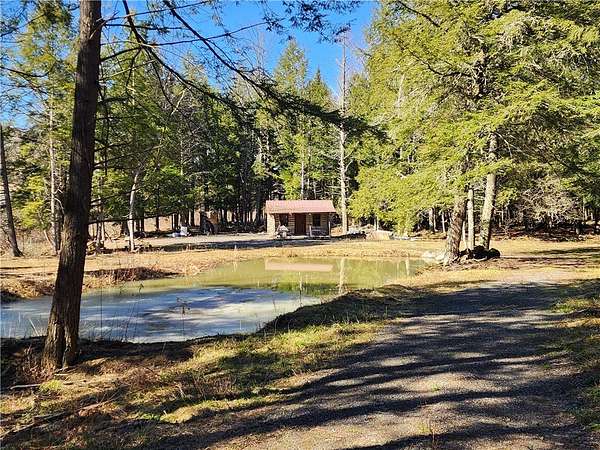 10.7 Acres of Recreational Land for Sale in Fly Creek, New York