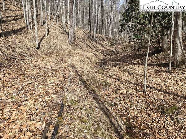 1.33 Acres of Land for Sale in Piney Creek, North Carolina