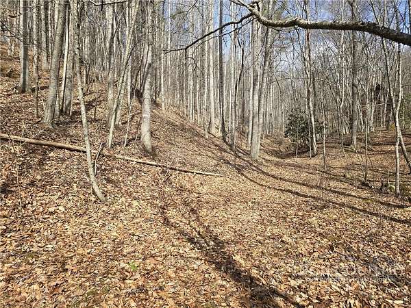 1.33 Acres of Land for Sale in Piney Creek, North Carolina