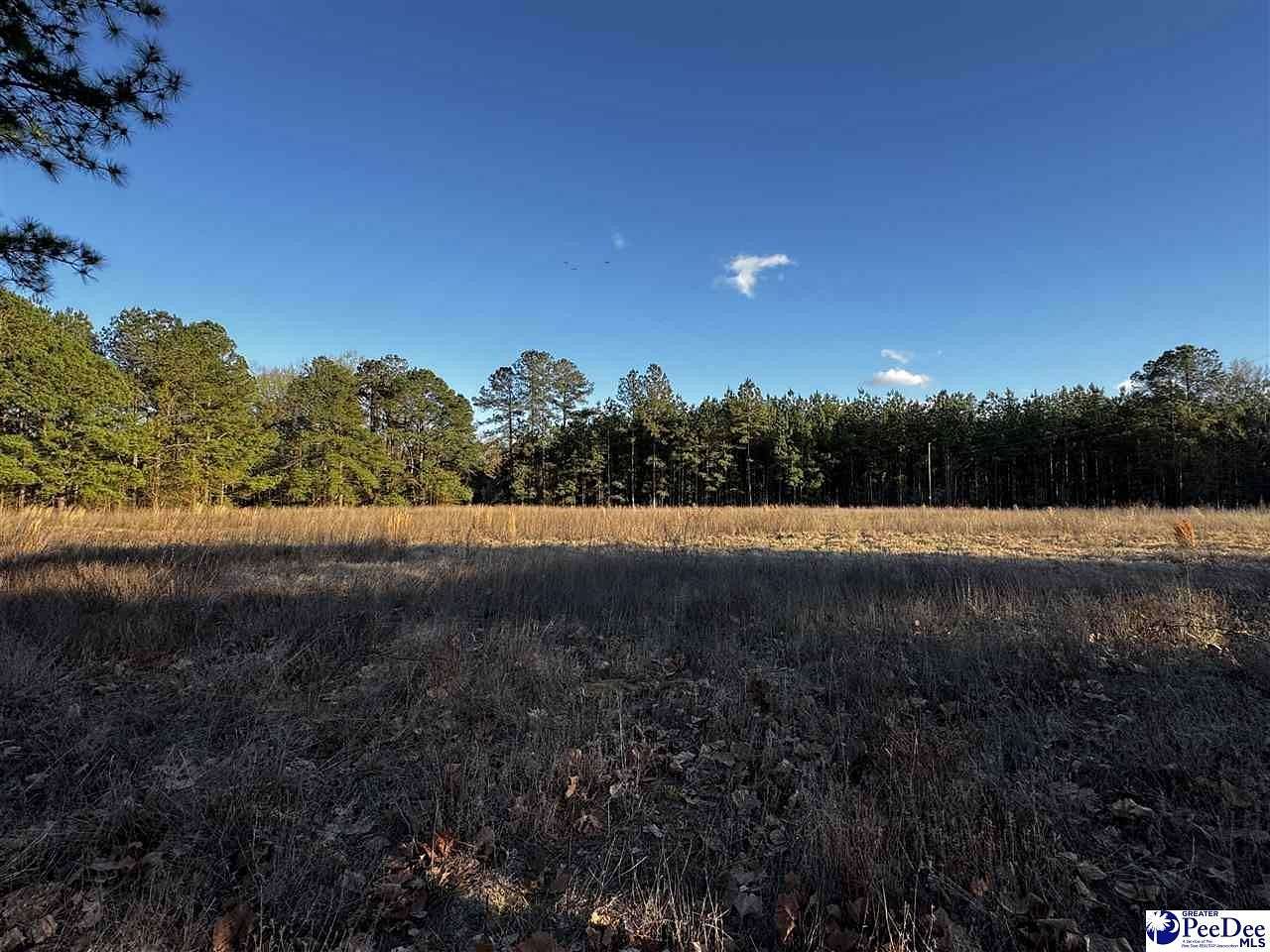 2 Acres of Residential Land for Sale in Latta, South Carolina