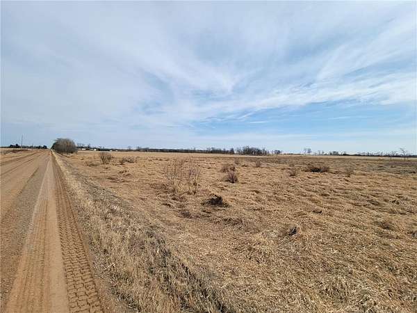 40 Acres of Agricultural Land for Sale in Alberta Township, Minnesota