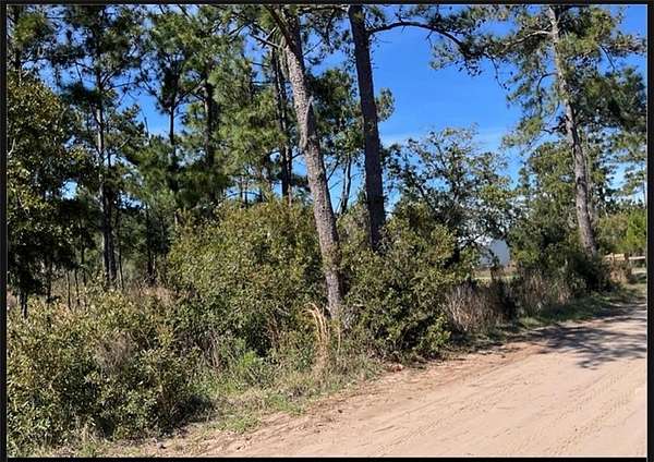 1 Acre of Residential Land for Sale in Sapelo Island, Georgia