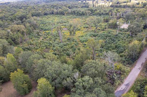 49.9 Acres of Recreational Land for Sale in Tyler, Texas