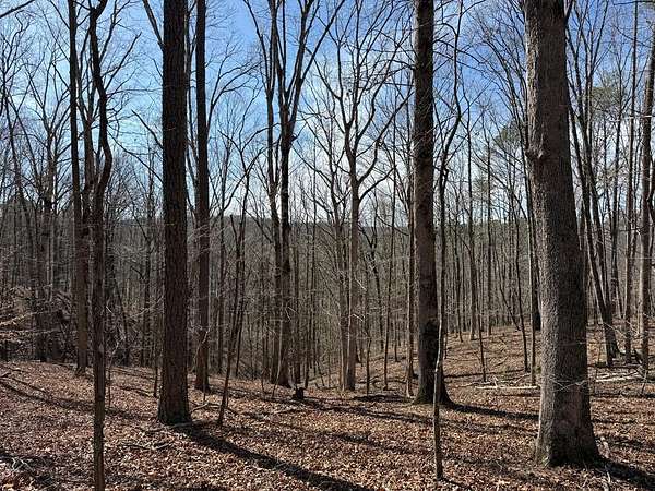 14.3 Acres of Recreational & Residential Land for Sale in Talking Rock, Georgia