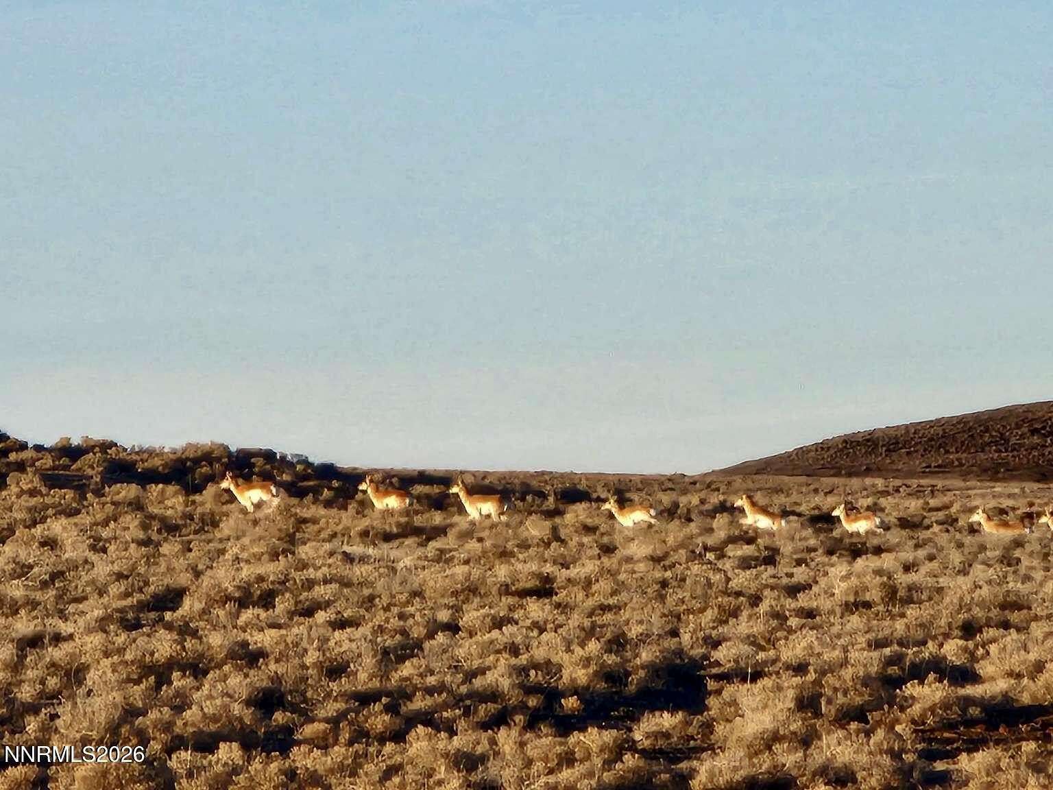 40 Acres of Recreational Land for Sale in Crescent Valley, Nevada