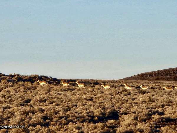 40 Acres of Recreational Land for Sale in Crescent Valley, Nevada