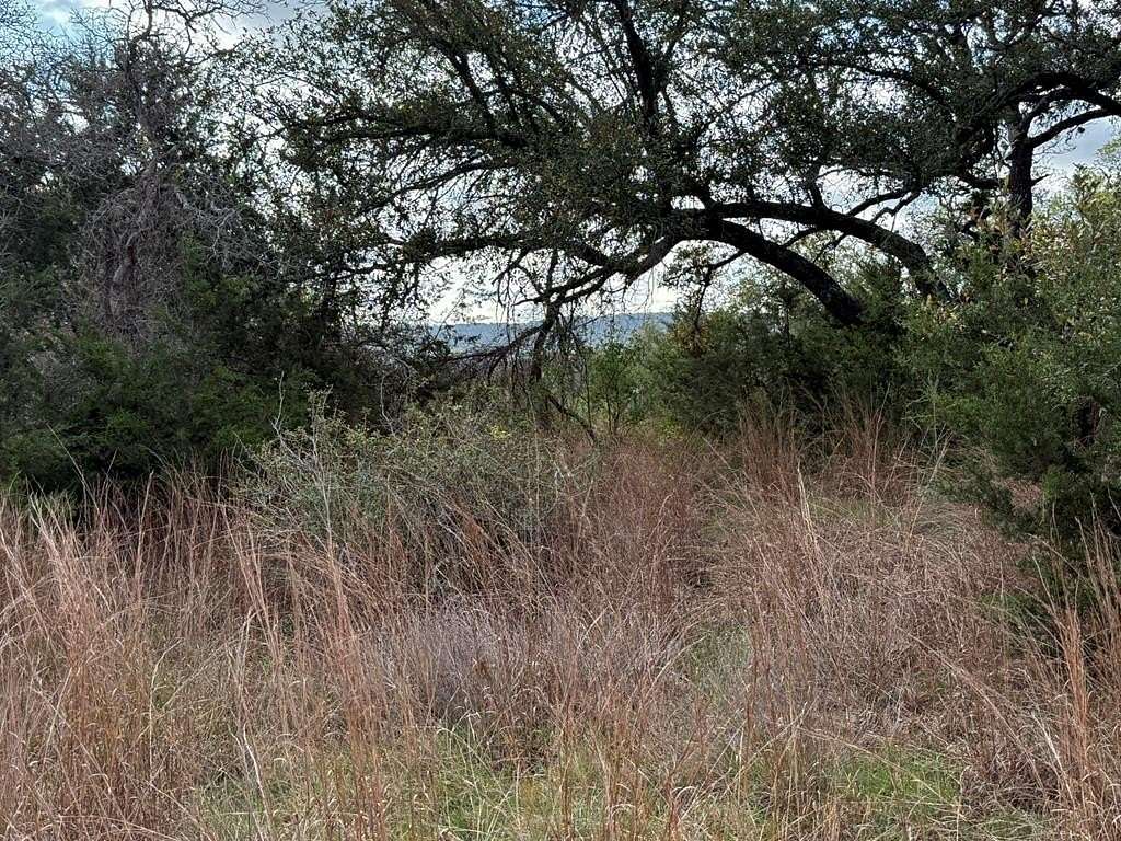 5.8 Acres of Residential Land for Sale in Blanco, Texas