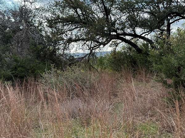 5.8 Acres of Residential Land for Sale in Blanco, Texas