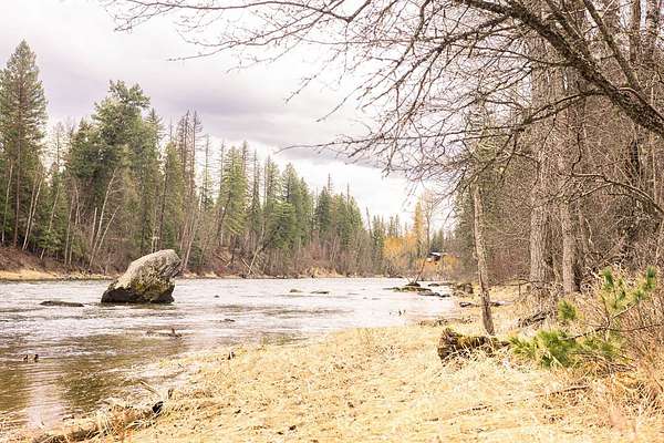 0.4 Acres of Land for Sale in Bigfork, Montana